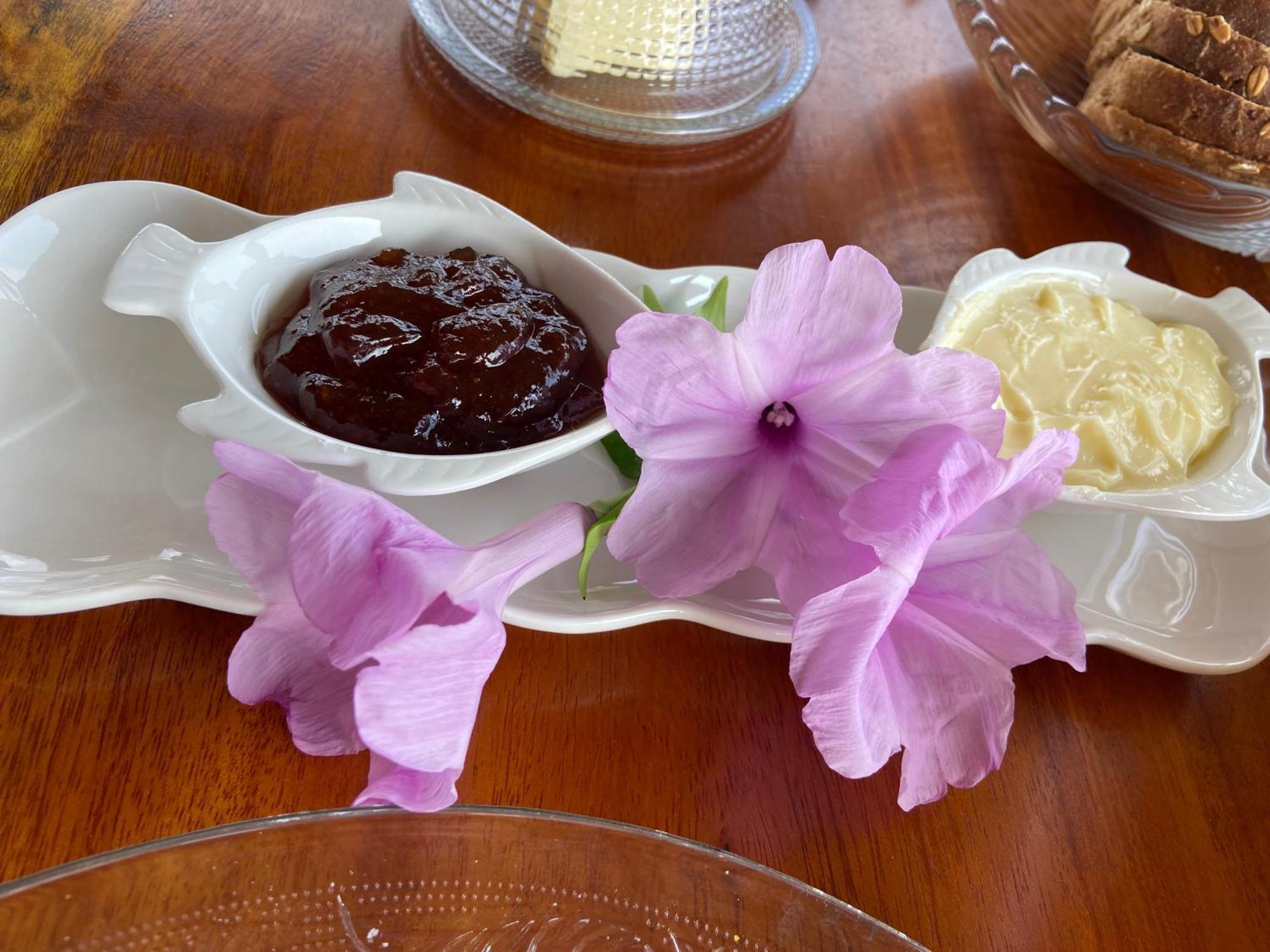 Aponem Spa & Pousada 코룸바우 외부 사진